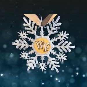 Wake Forest DEMON DEACONS Handmade Snowflake *NEW*